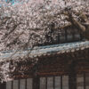 상품이미지 2